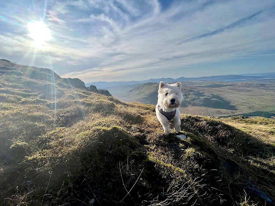 Arenig Guided Walk