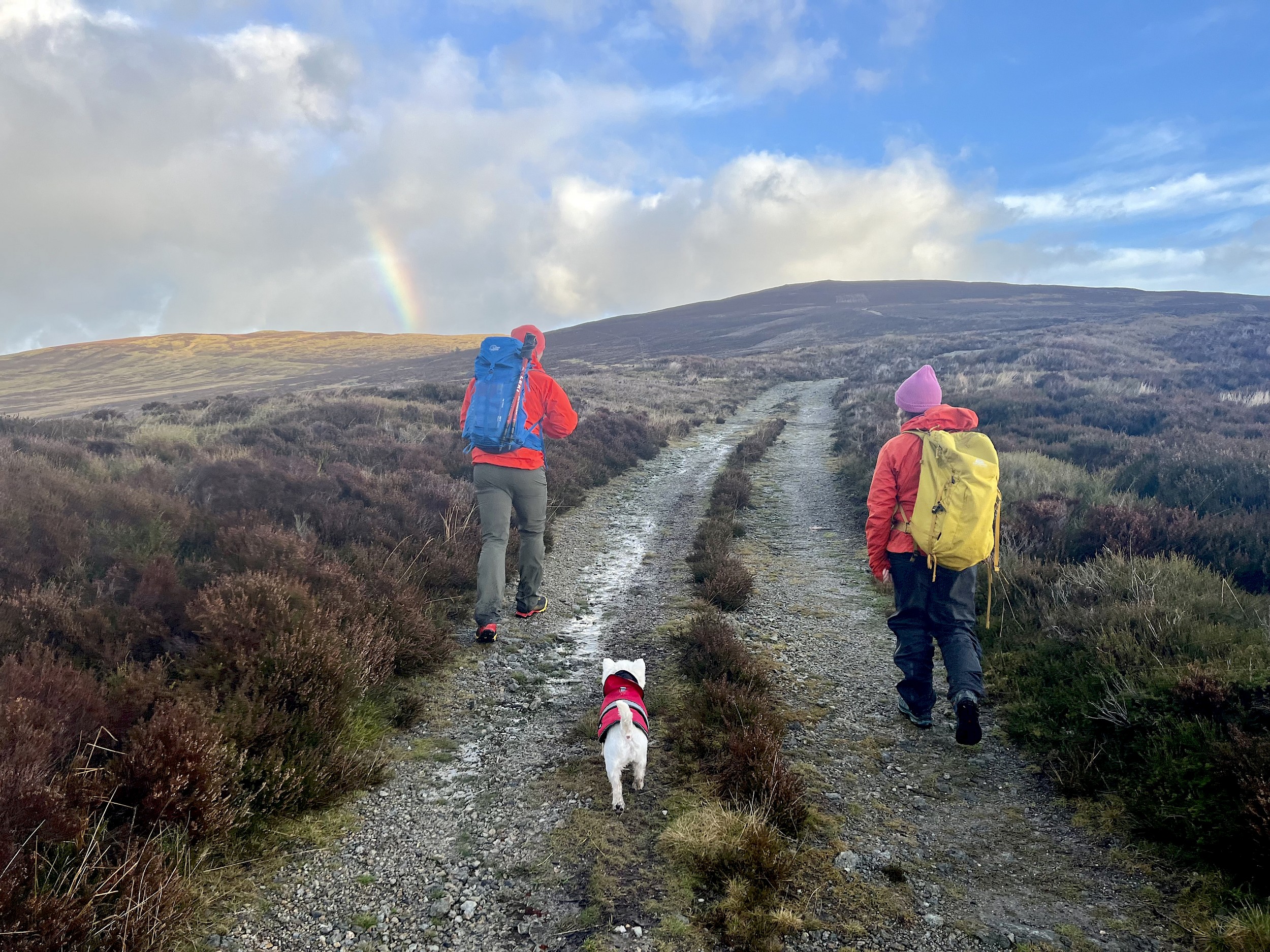 Arenig Guided Walk