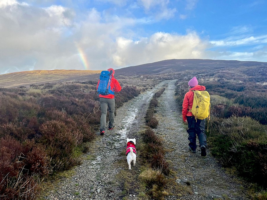 Arenig Guided Walk