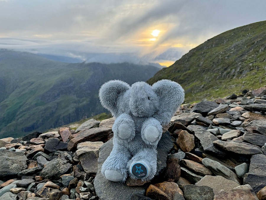 2wish Cymru
